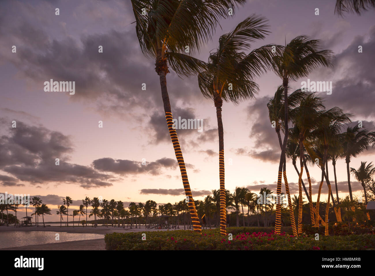 PALM TREES RED FISH GRILL RESTAURANT MATHESON HAMMOCK COUNTY PARK MIAMI
