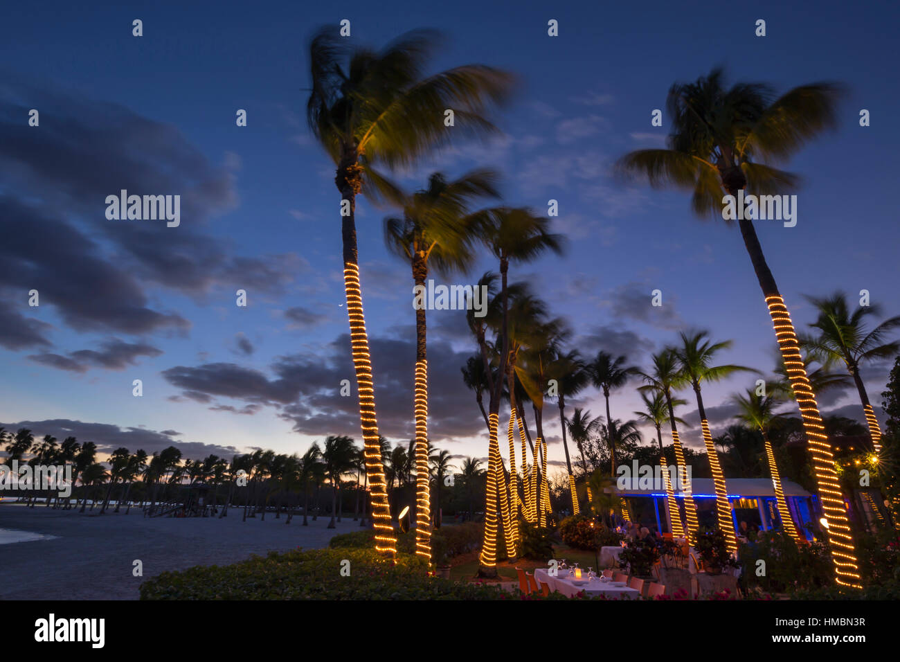 PALM TREES RED FISH GRILL RESTAURANT MATHESON HAMMOCK COUNTY PARK MIAMI