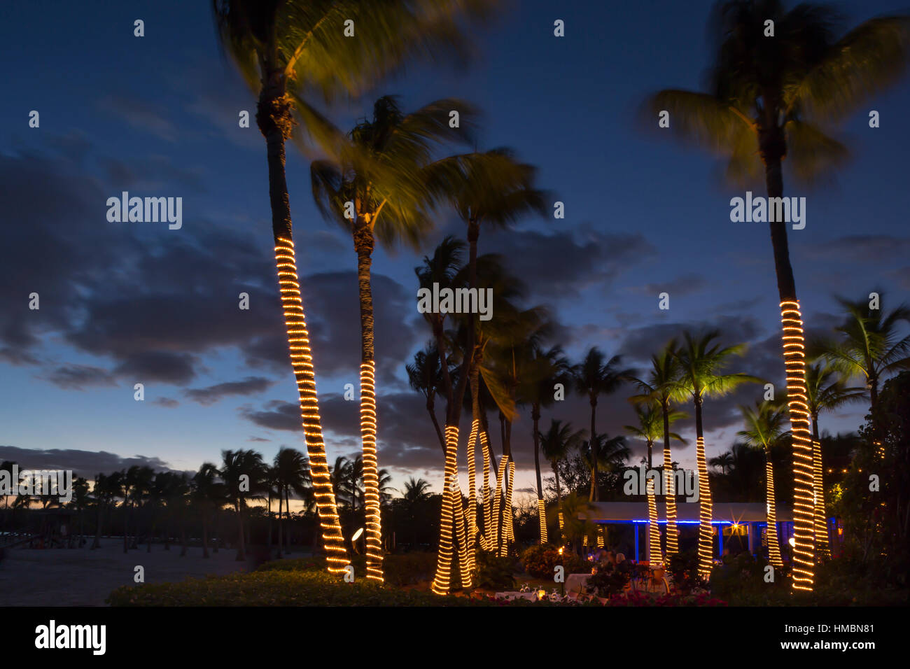 PALM TREES RED FISH GRILL RESTAURANT MATHESON HAMMOCK COUNTY PARK MIAMI