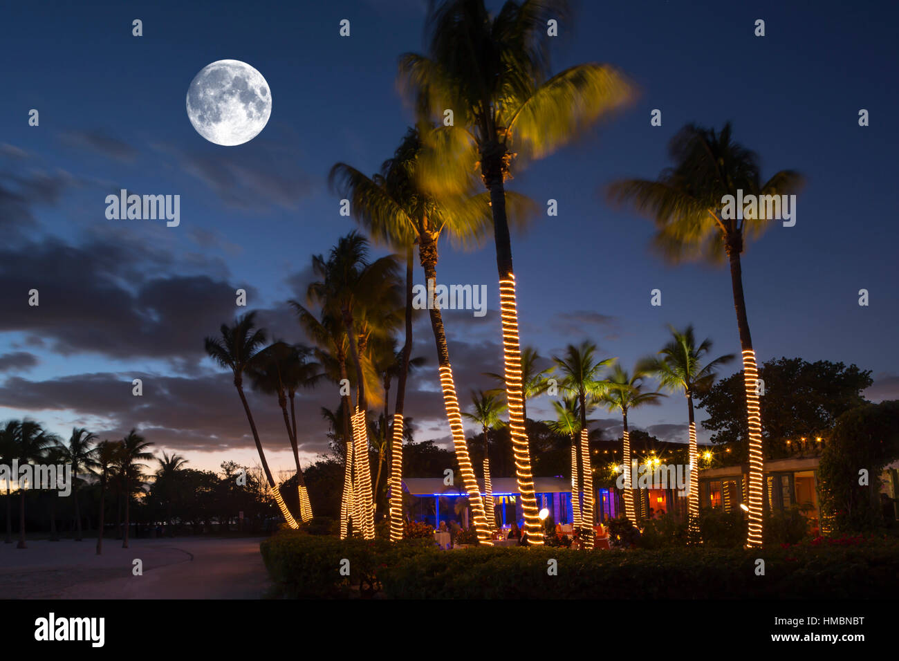 PALM TREES RED FISH GRILL RESTAURANT MATHESON HAMMOCK COUNTY PARK MIAMI