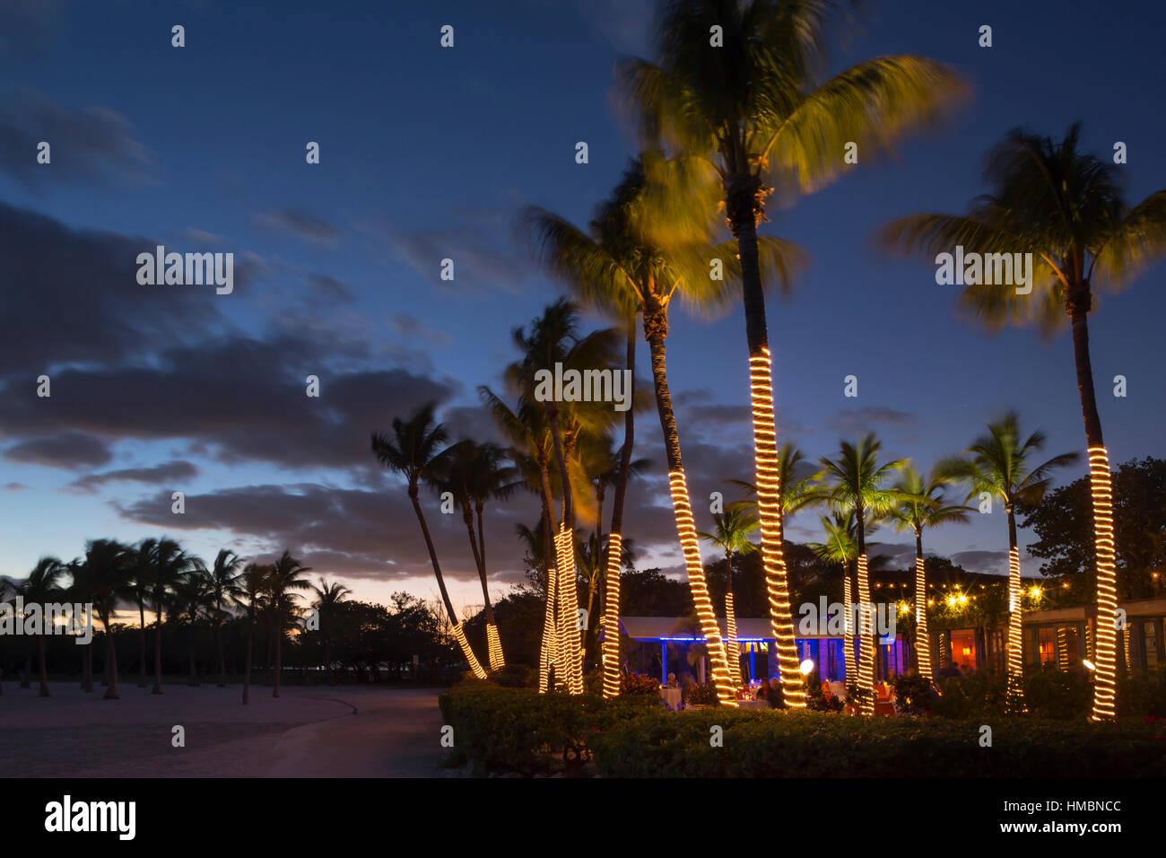 PALM TREES RED FISH GRILL RESTAURANT MATHESON HAMMOCK COUNTY PARK MIAMI