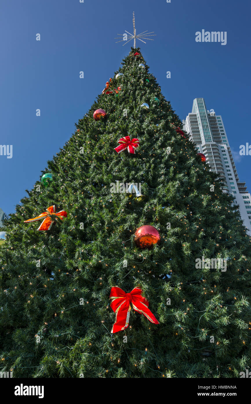 Miami park tree hires stock photography and images Alamy