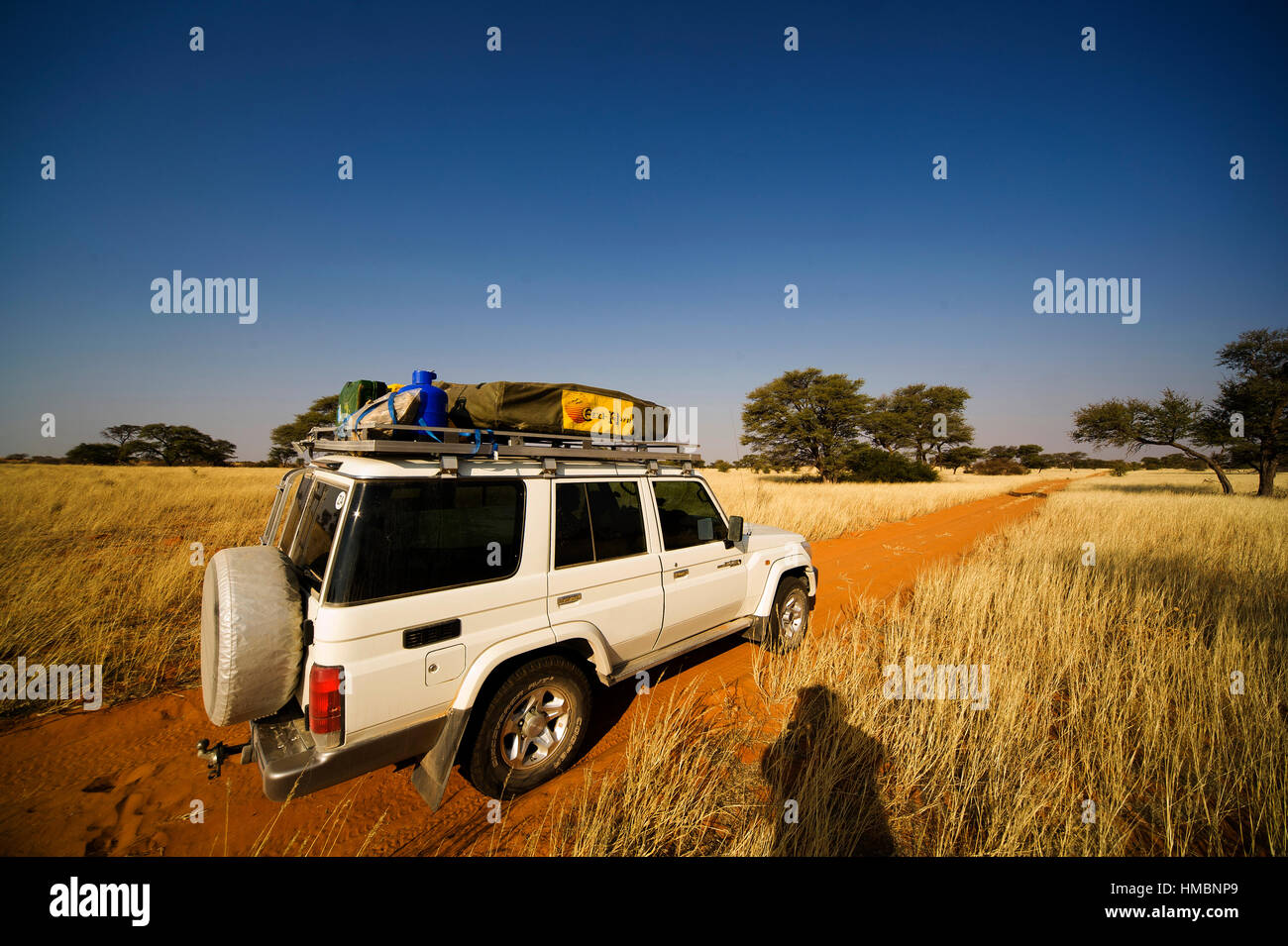 Toyota Landcruiser safari equipped jeep on the track going to Gharagab Camp, Kgalagadi Transfontier Park, South Africa Stock Photo