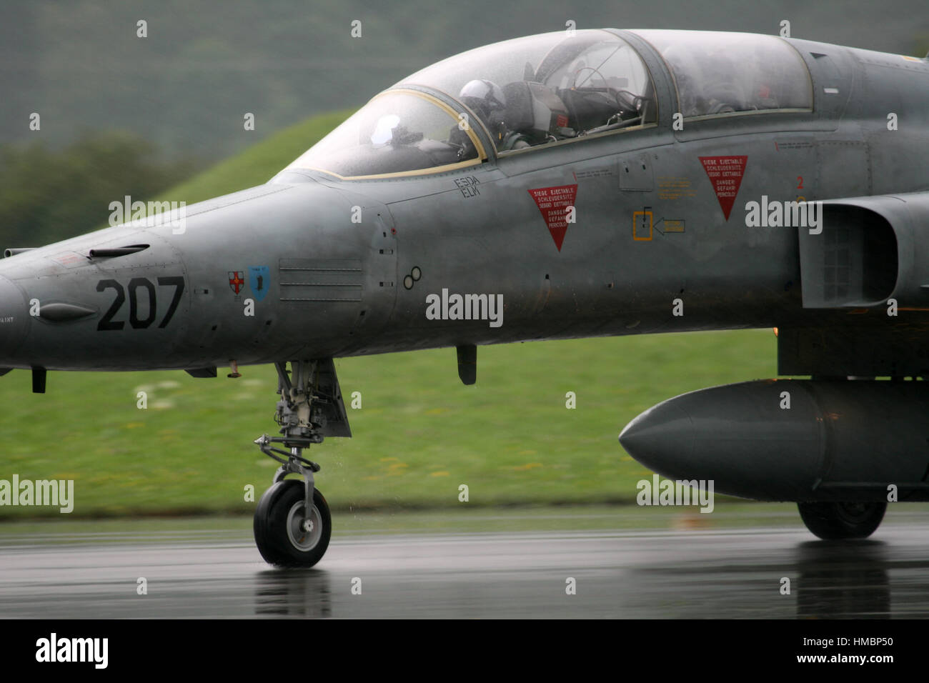 Swiss Air Force Northrop F5 freedom fighter Stock Photo