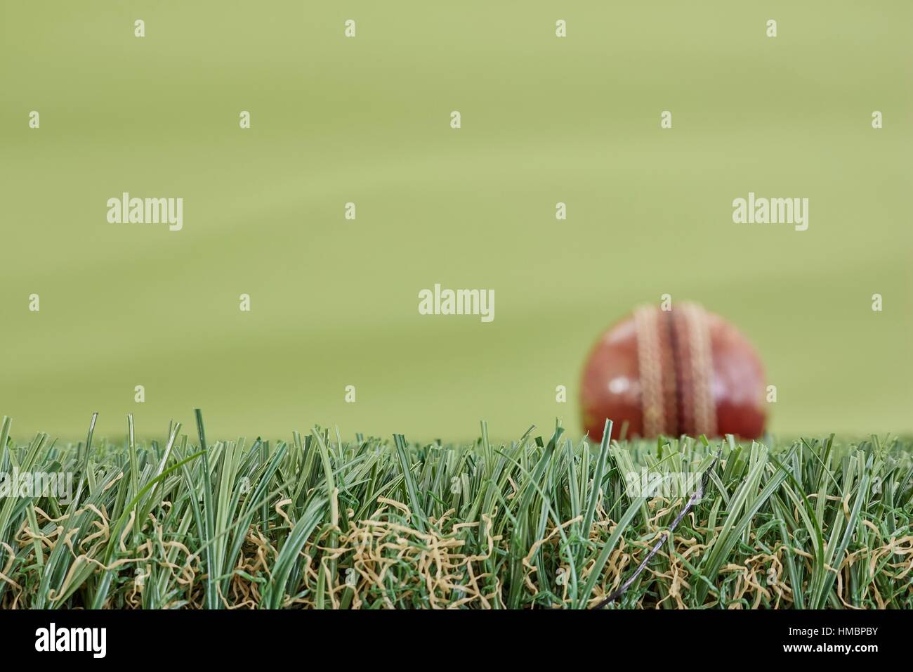 A studio photo of cricket gear on grass Stock Photo Alamy