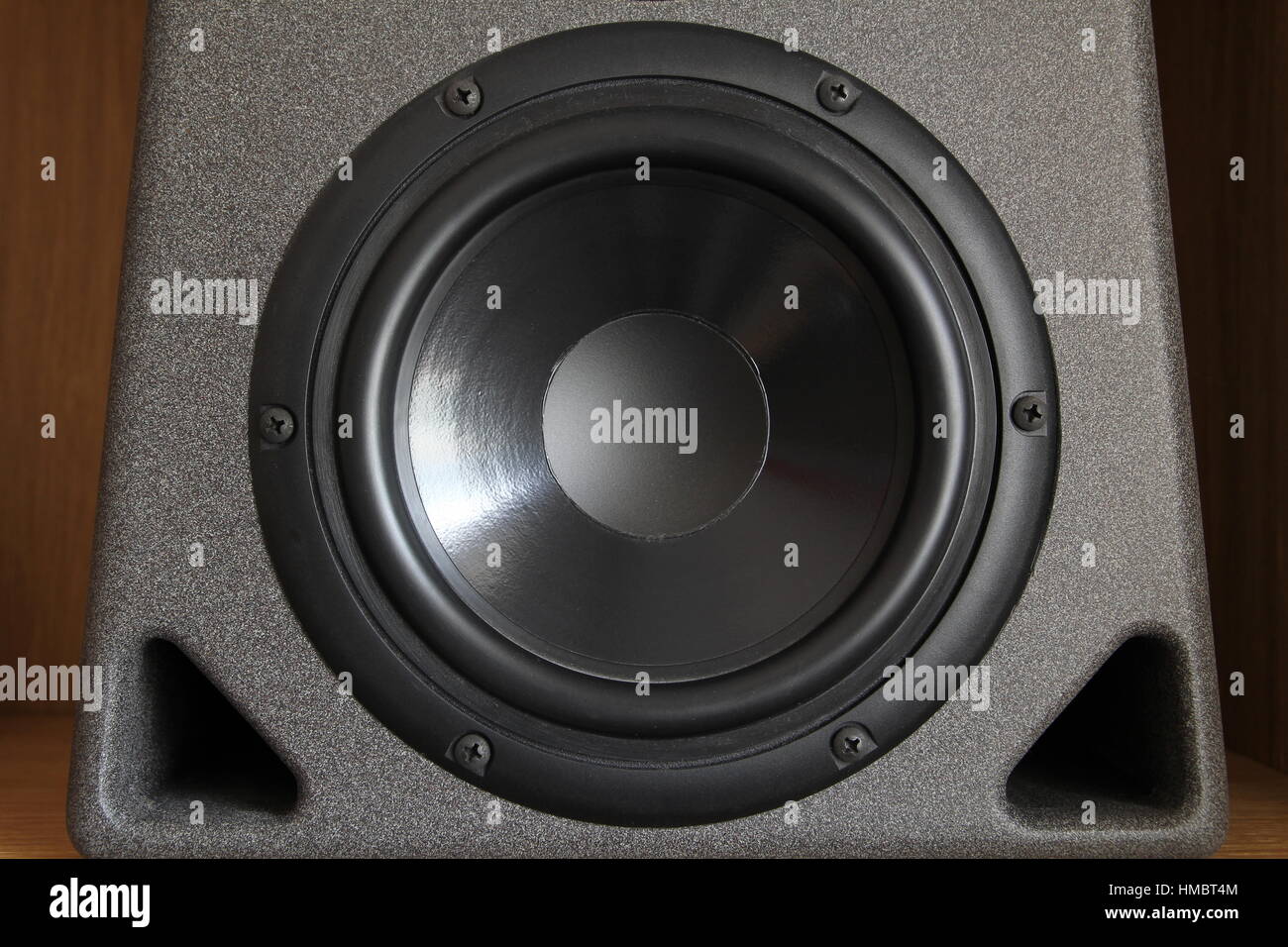 Woofer or bass cone of a high end hifi speaker Stock Photo Alamy