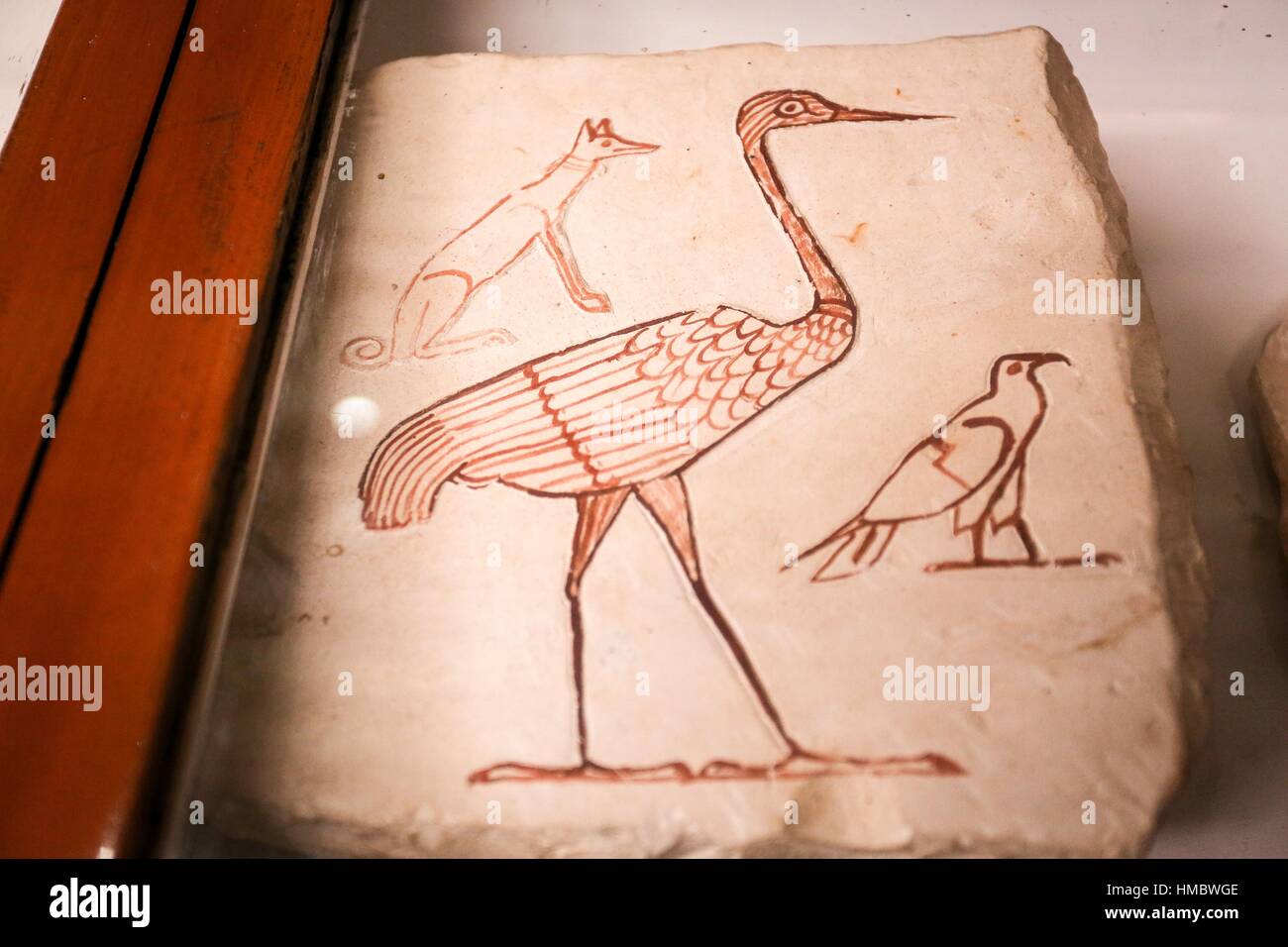Outline Drawing in Ancient Egypt of animals Ink on Limestone, New Kingdom.  Thebes, Valley of the Kings, Egyptian Museum, Cairo Stock Photo - Alamy