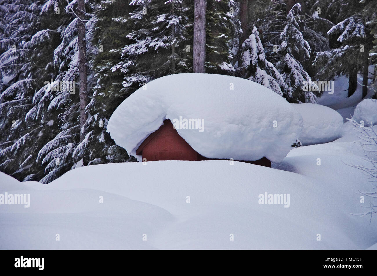 Wooden cabin completely covered with deep fresh snow Stock Photo