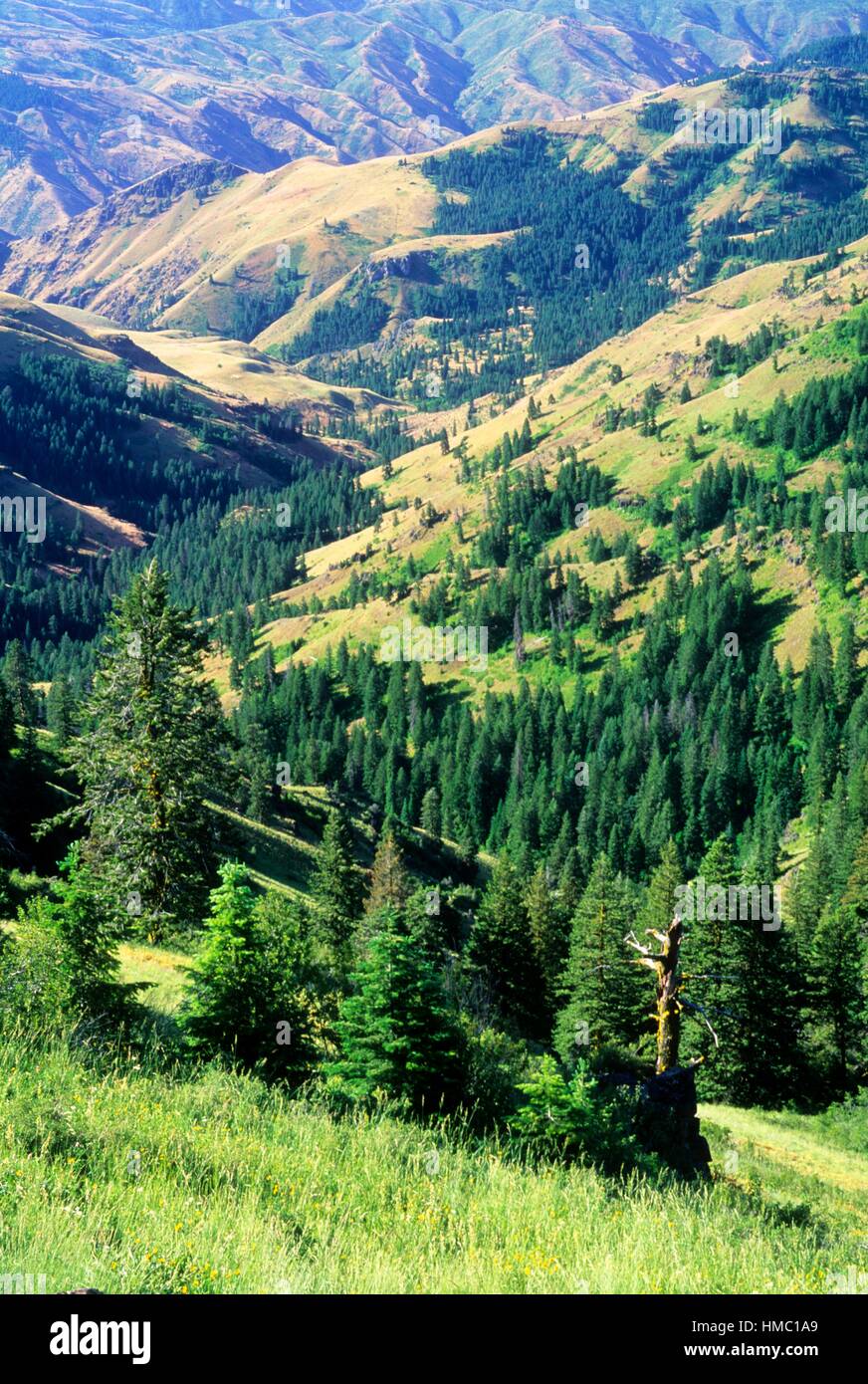 Mcgraw creek canyon from summit ridge hires stock photography and