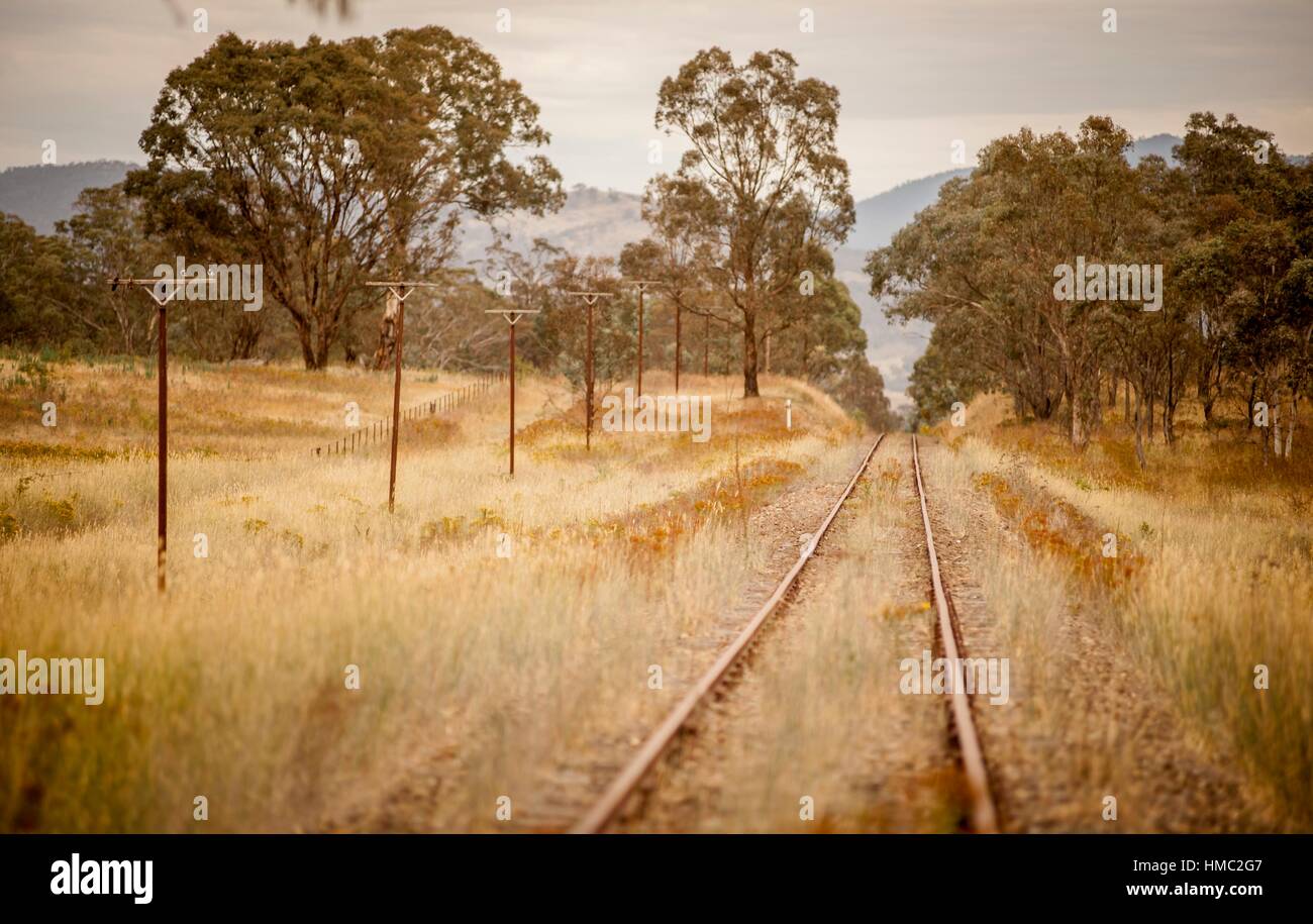 Disused railway, near Campbelltown, NSW, Australia Stock Photo Alamy