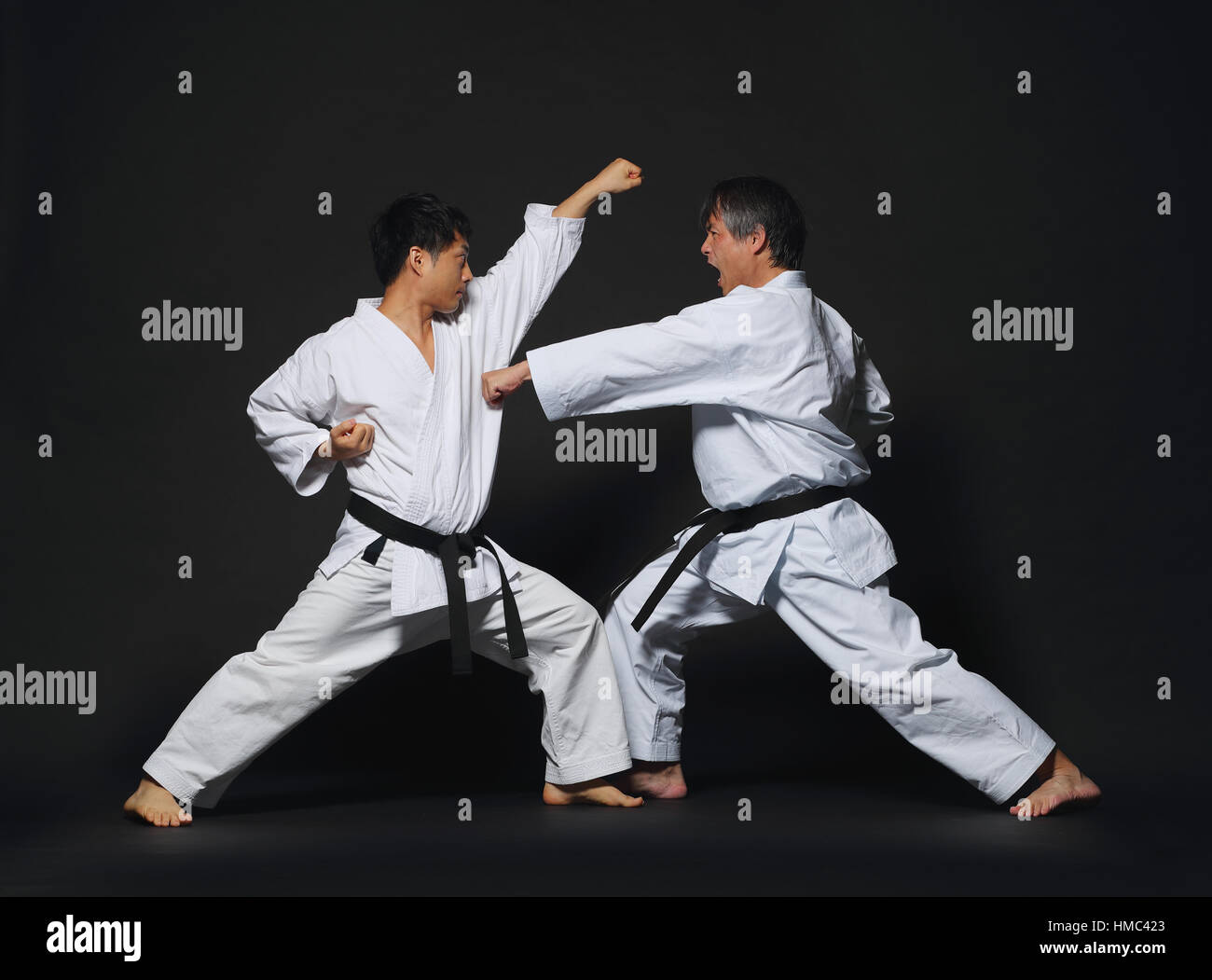 Japanese karate masters fighting Stock Photo - Alamy