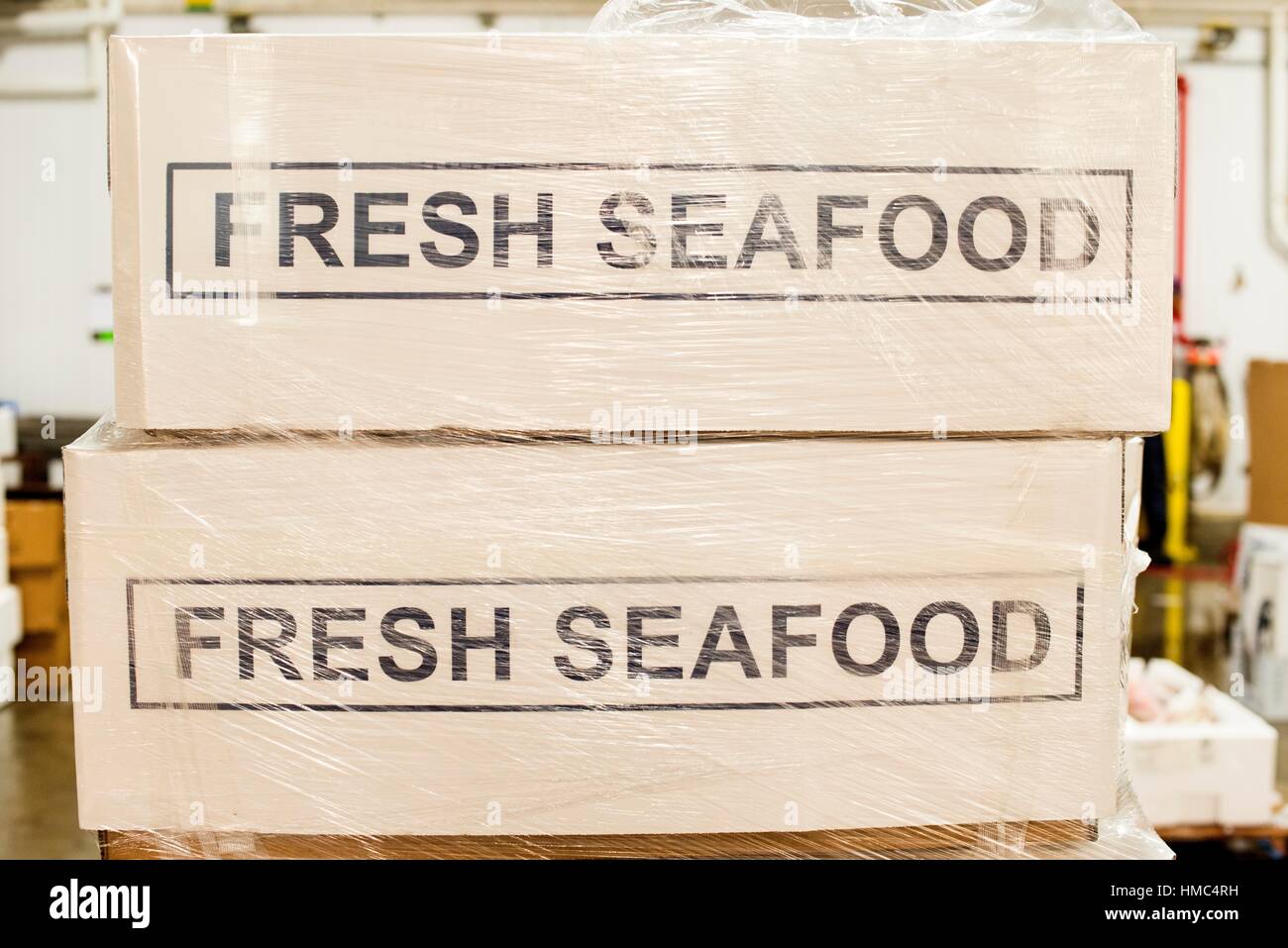 New York City, USA. Freshly frozen fish on display in iced boxes at the