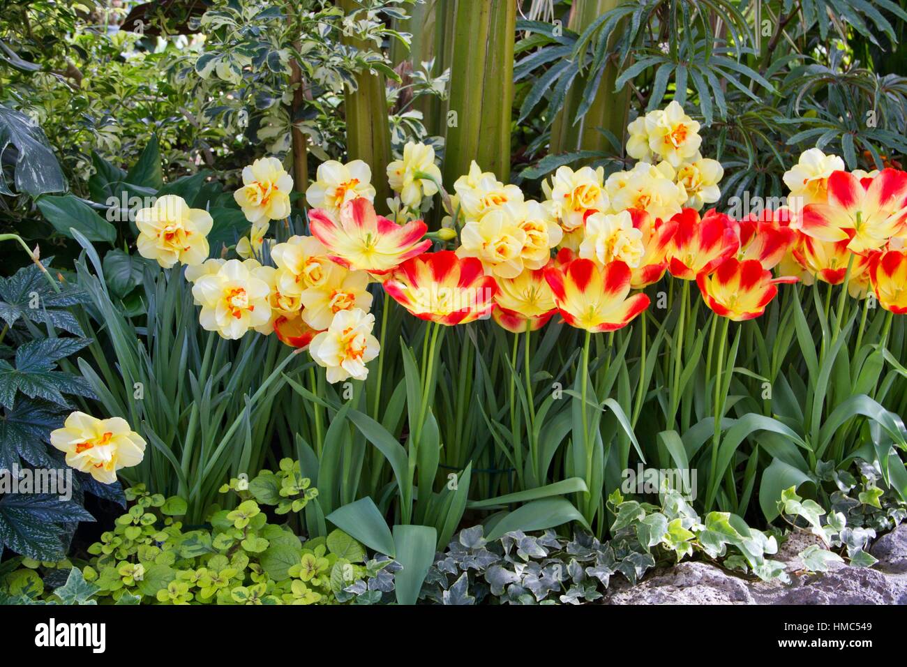 Suncatcher hires stock photography and images Alamy