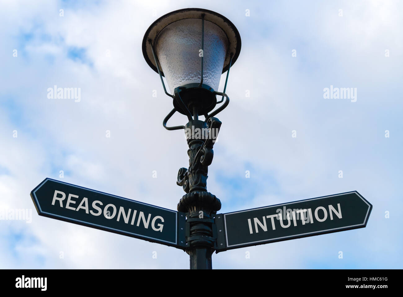 Street lighting pole with two opposite directional arrows over blue cloudy background. Reasoning versus Intuition concept. Stock Photo