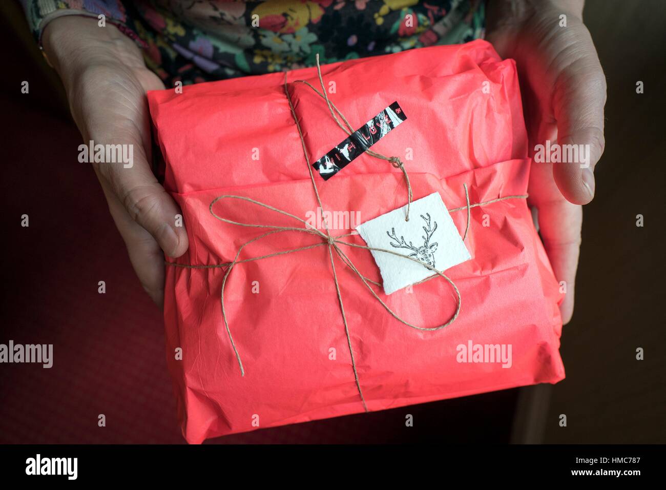 Woman hands holding Christmas gift in a red package with a deer label Stock Photo