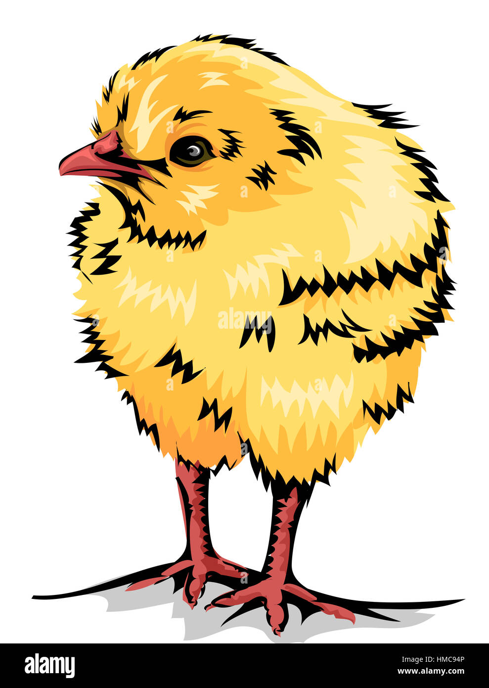 Animal Illustration of a Cute Yellow Chick Stock Photo