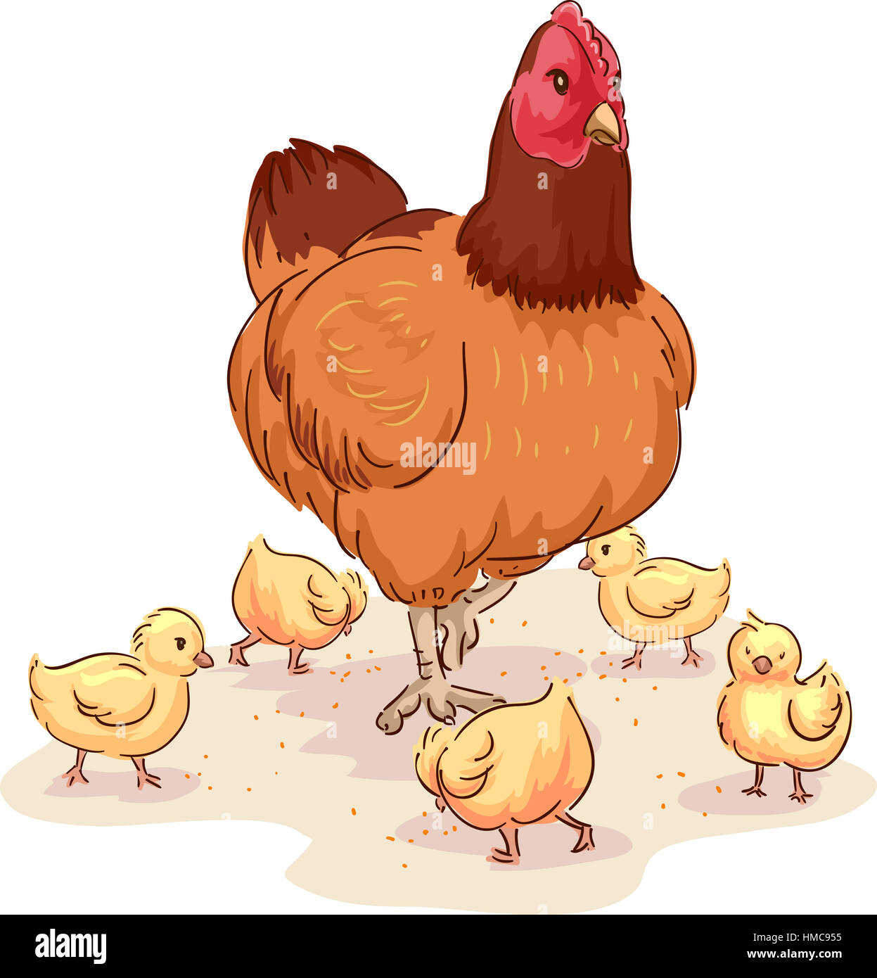 https://c8.alamy.com/comp/HMC955/animal-illustration-of-a-mother-hen-looking-after-her-chicks-while-HMC955.jpg