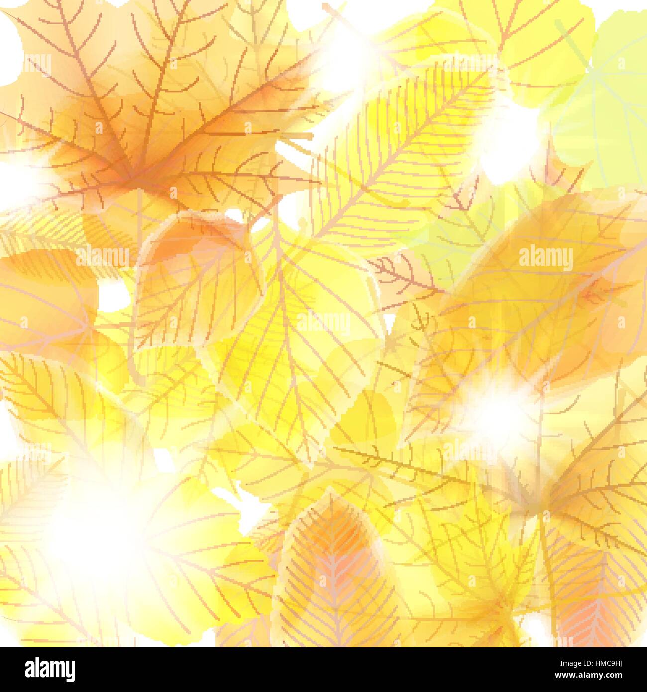 Autumn background with maple leaves. plus EPS10 vector file Stock ...