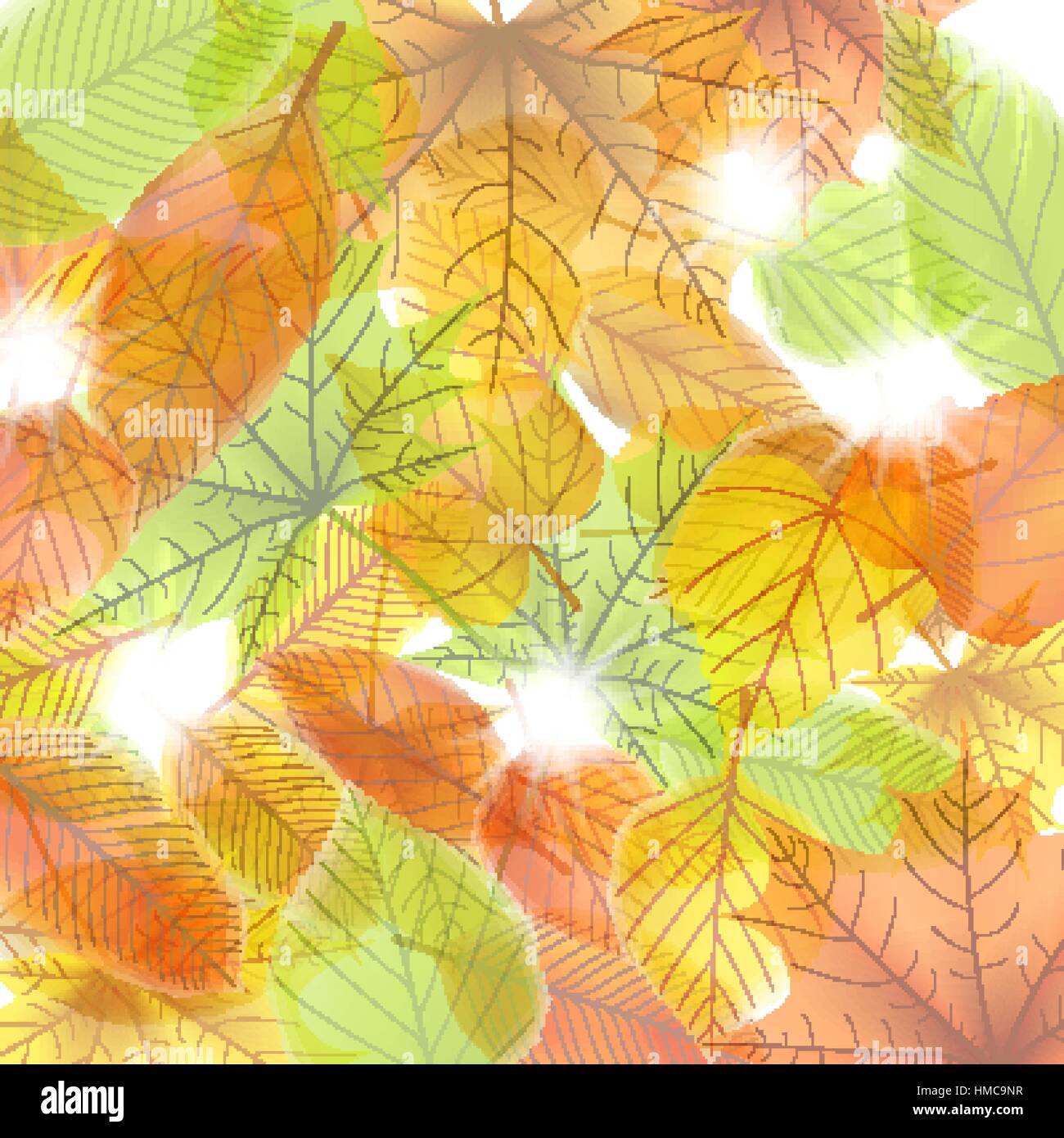 Autumn background with maple leaves. plus EPS10 vector file Stock ...