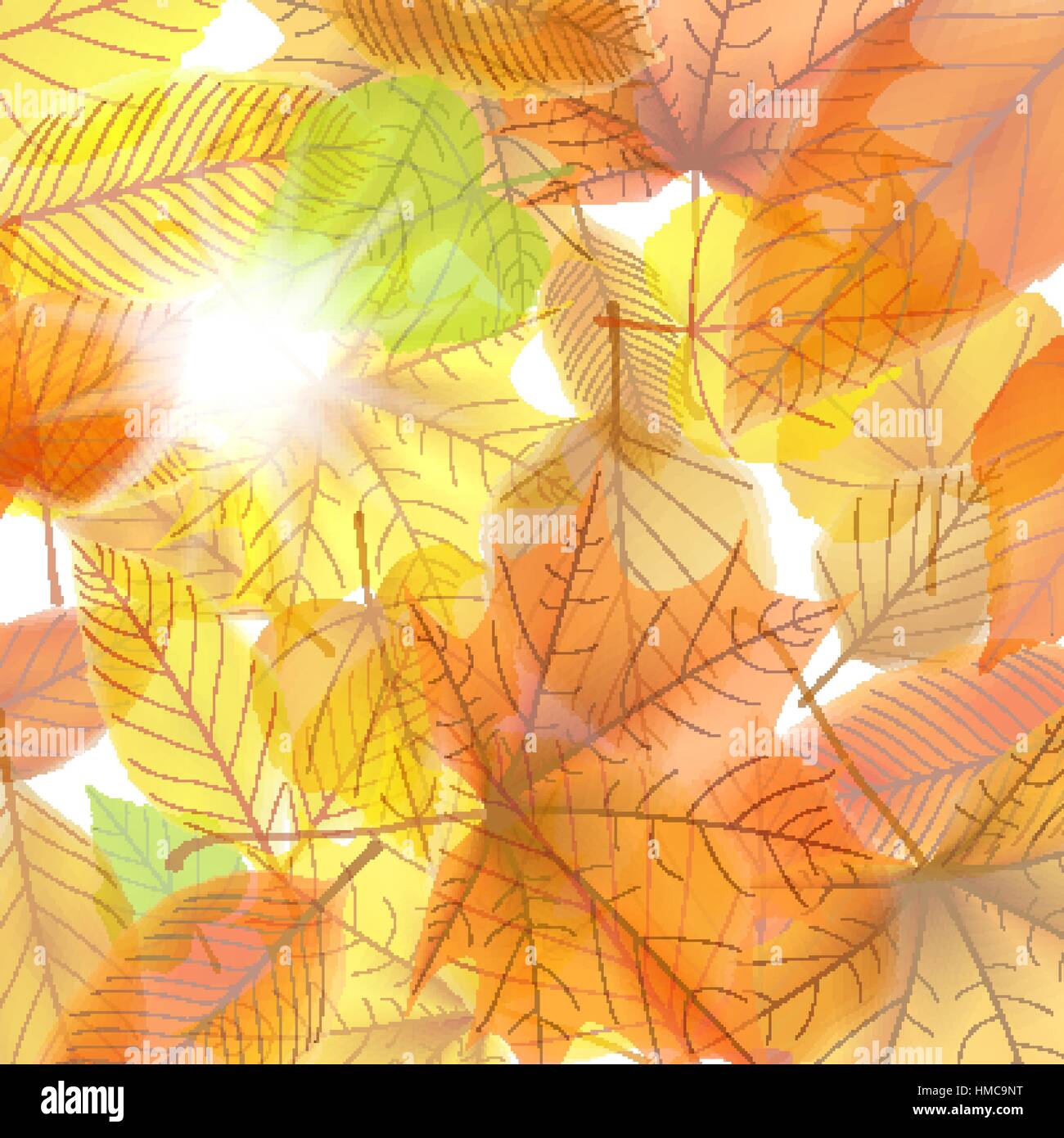 Autumn background with maple leaves. plus EPS10 vector file Stock ...