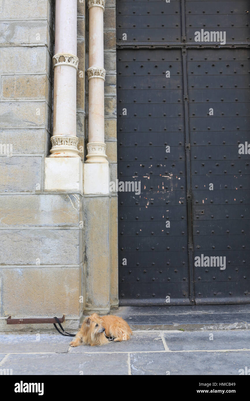 Chien dans l'attente de son maître devant l'église. Shrine of Our Lady of la Salette. France. Stock Photo