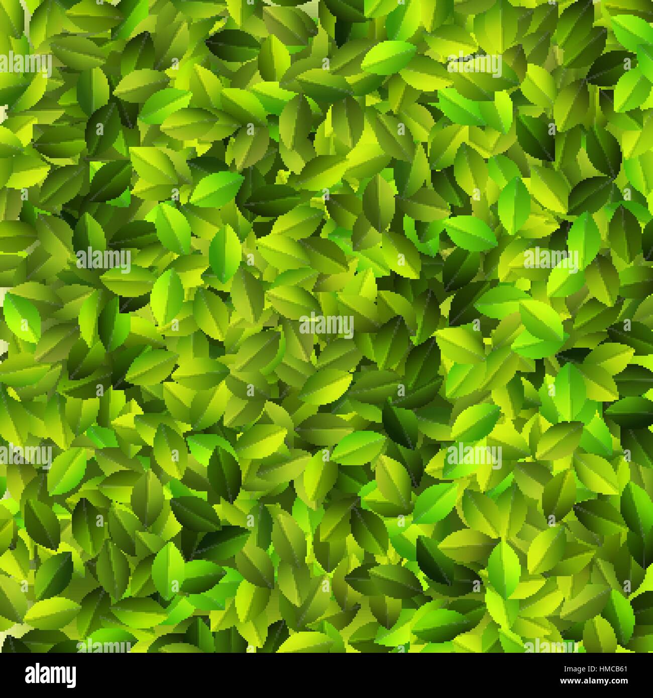 Green leaves pattern degign. + EPS10 vector file Stock Vector Image ...