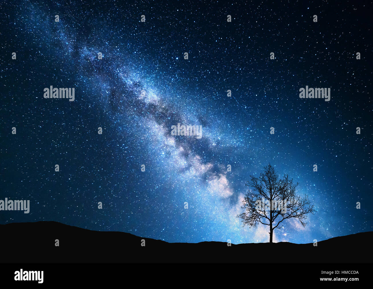Milky Way and tree on the field. Little tree against night starry sky with blue milky way. Night landscape. Space. Galaxy Stock Photo