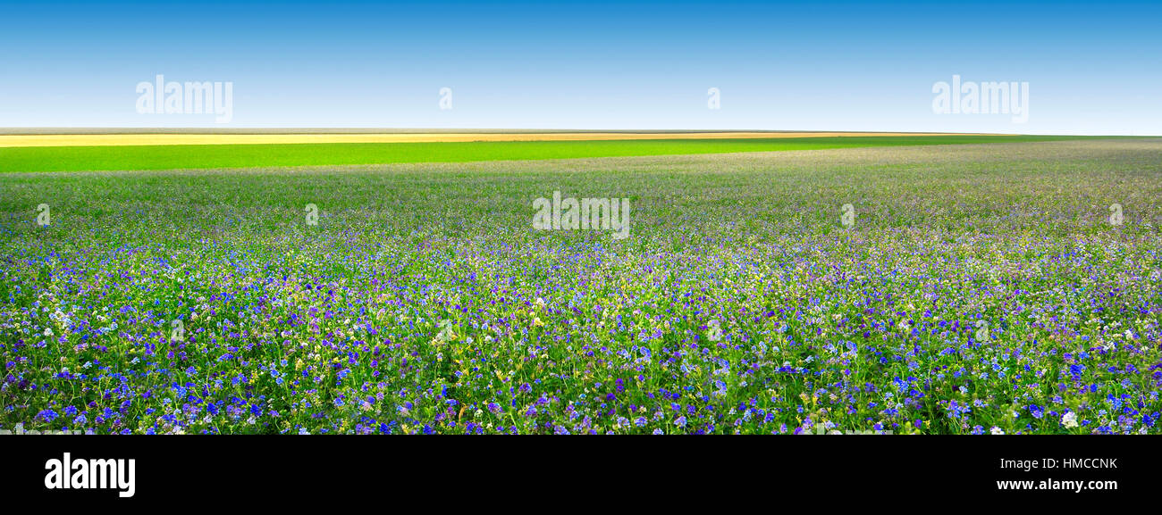 Landscape in Central France, The Massif Central. Stock Photo
