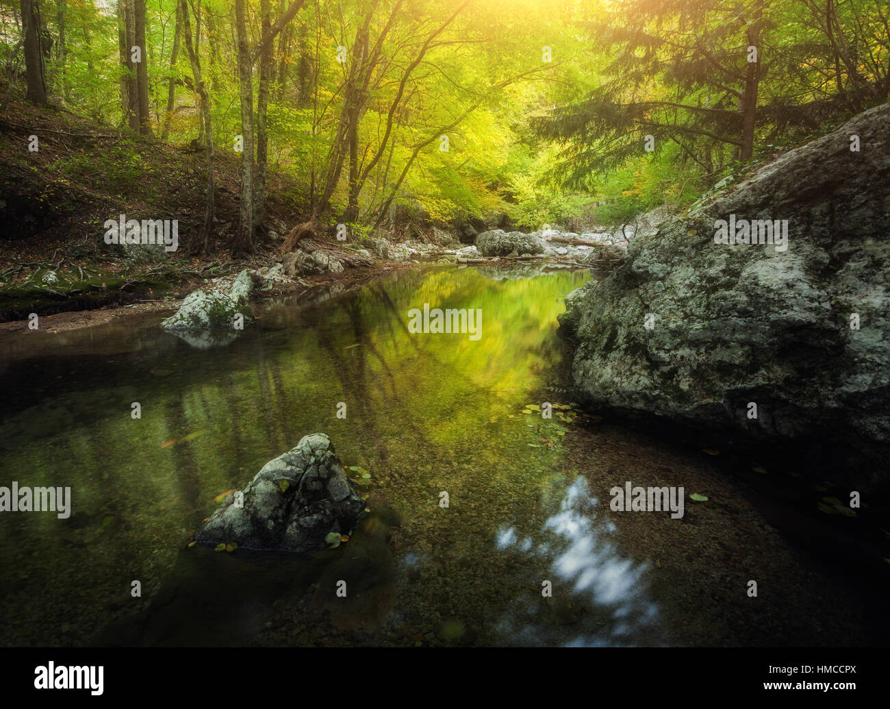 Forest and mountain river at sunset. Colorful landscape with green forest, river, rocks, stones and yellow sunlight Stock Photo