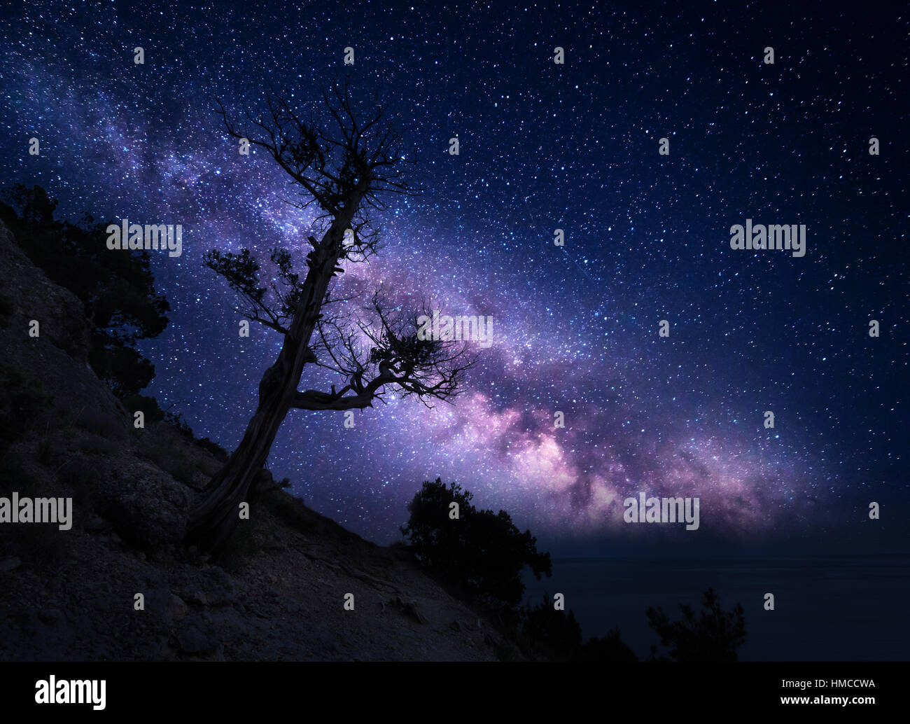 Tree on the mountain against Milky Way. Night landscape. Night colorful scenery. Starry sky in summer. Beautiful universe. Space Stock Photo
