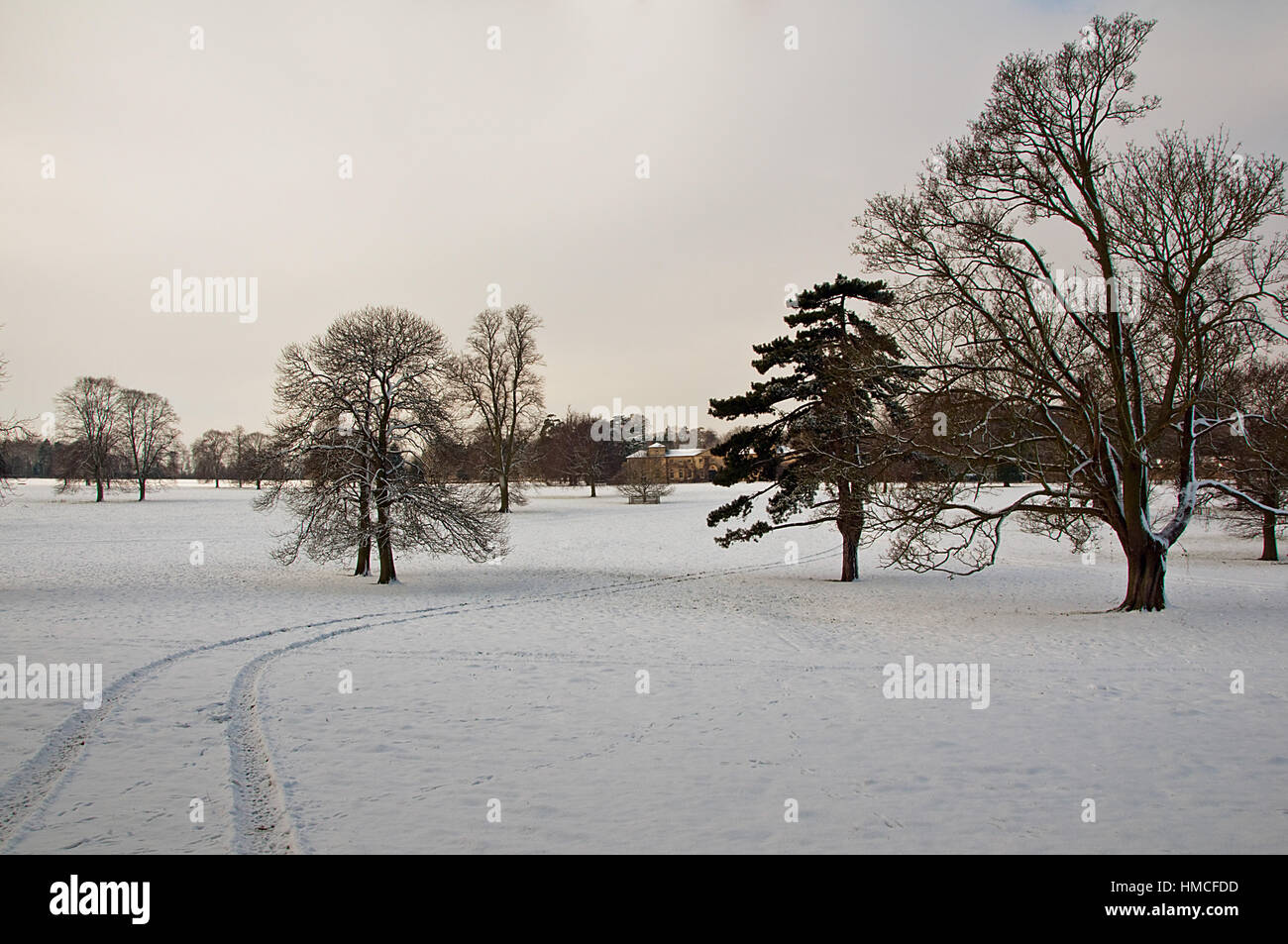 Tracks in the Snow Stock Photo Alamy