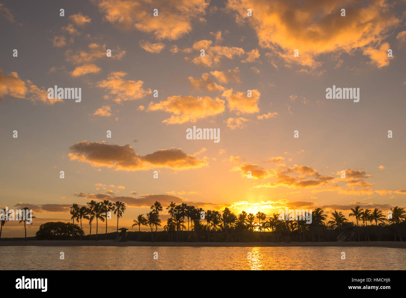 PALM TREES REFLECTING POOL ATOLL MATHESON HAMMOCK COUNTY PARK MIAMI