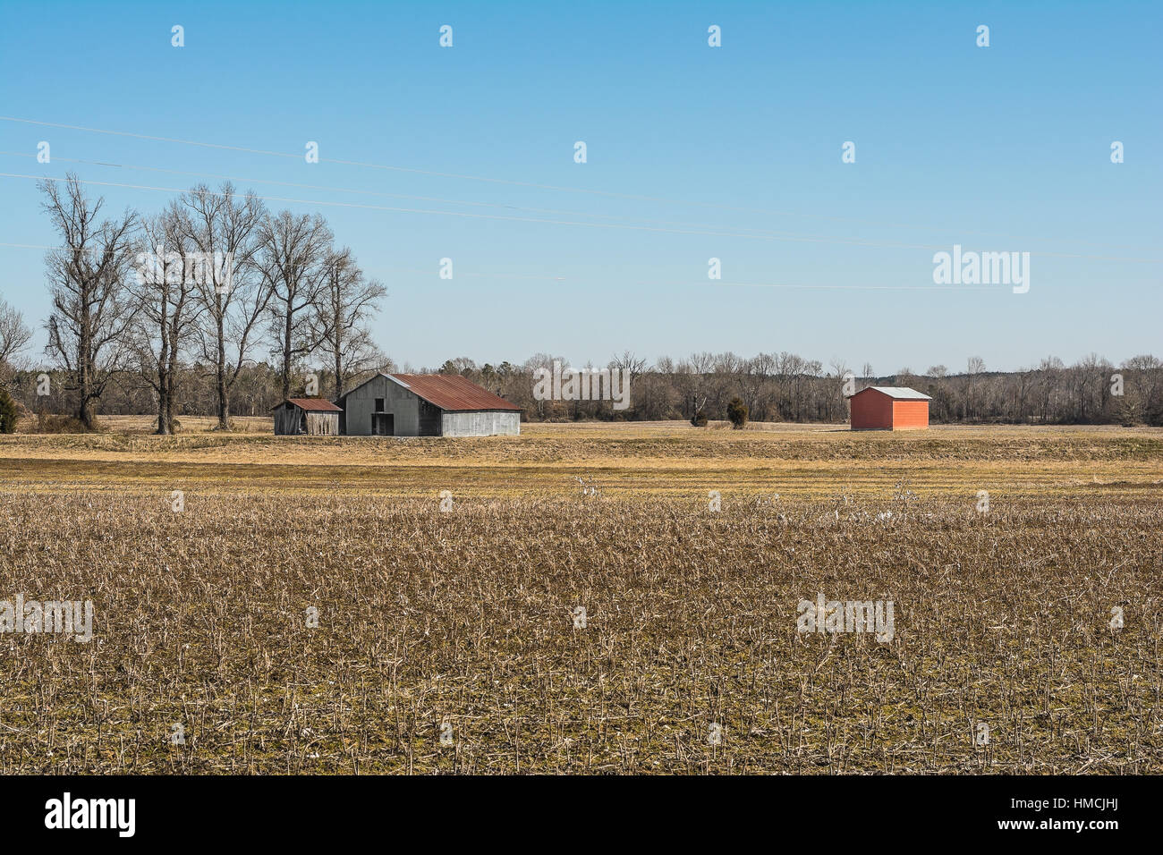 Rural agricultural trees hi-res stock photography and images - Alamy