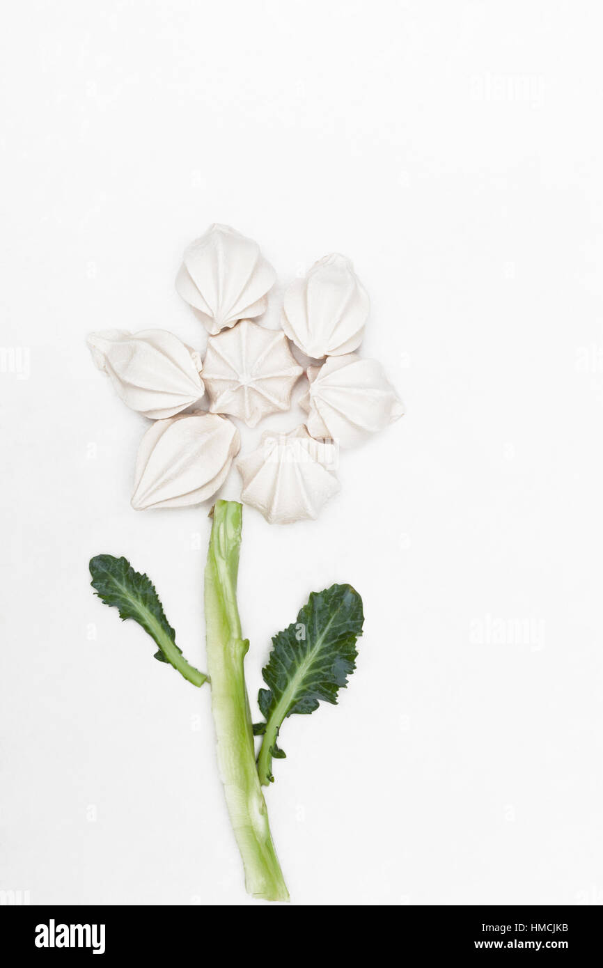 Flower made from meringue cookies and brocolli stem and leaves Stock Photo