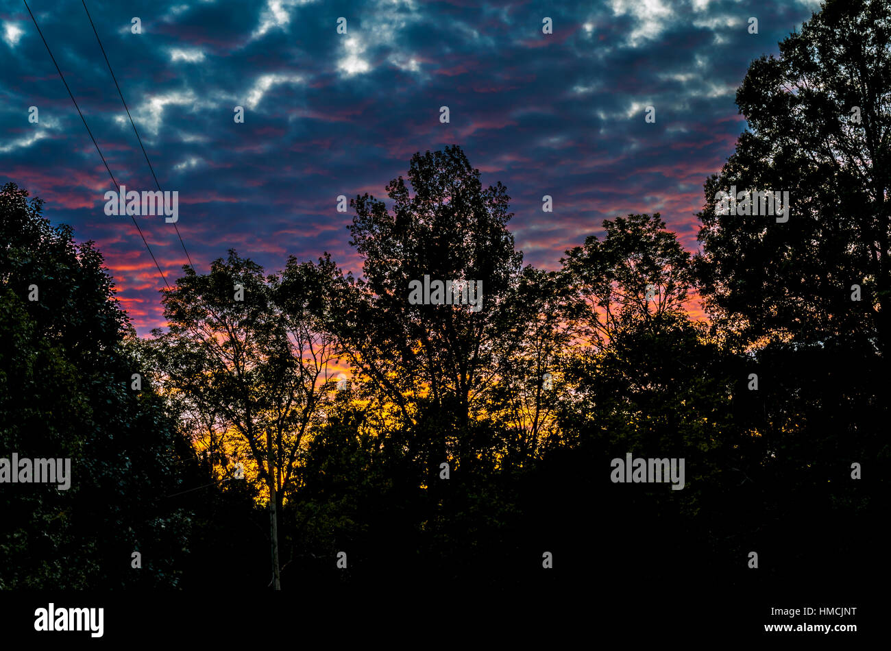 Vibrant colours of nature hi-res stock photography and images - Alamy