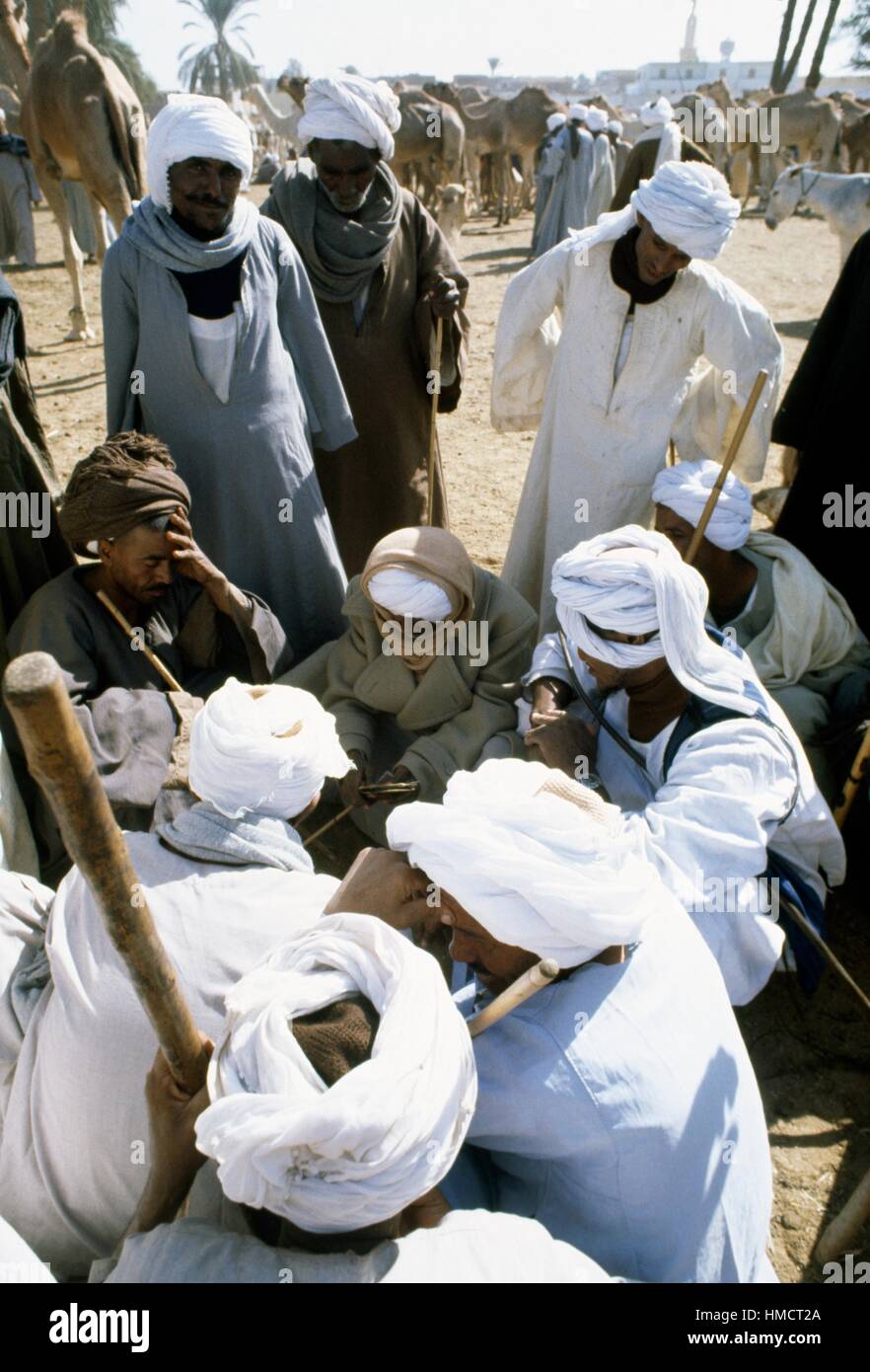 Men in traditional dress wearing turbans, cattle market, Egypt. Stock Photo