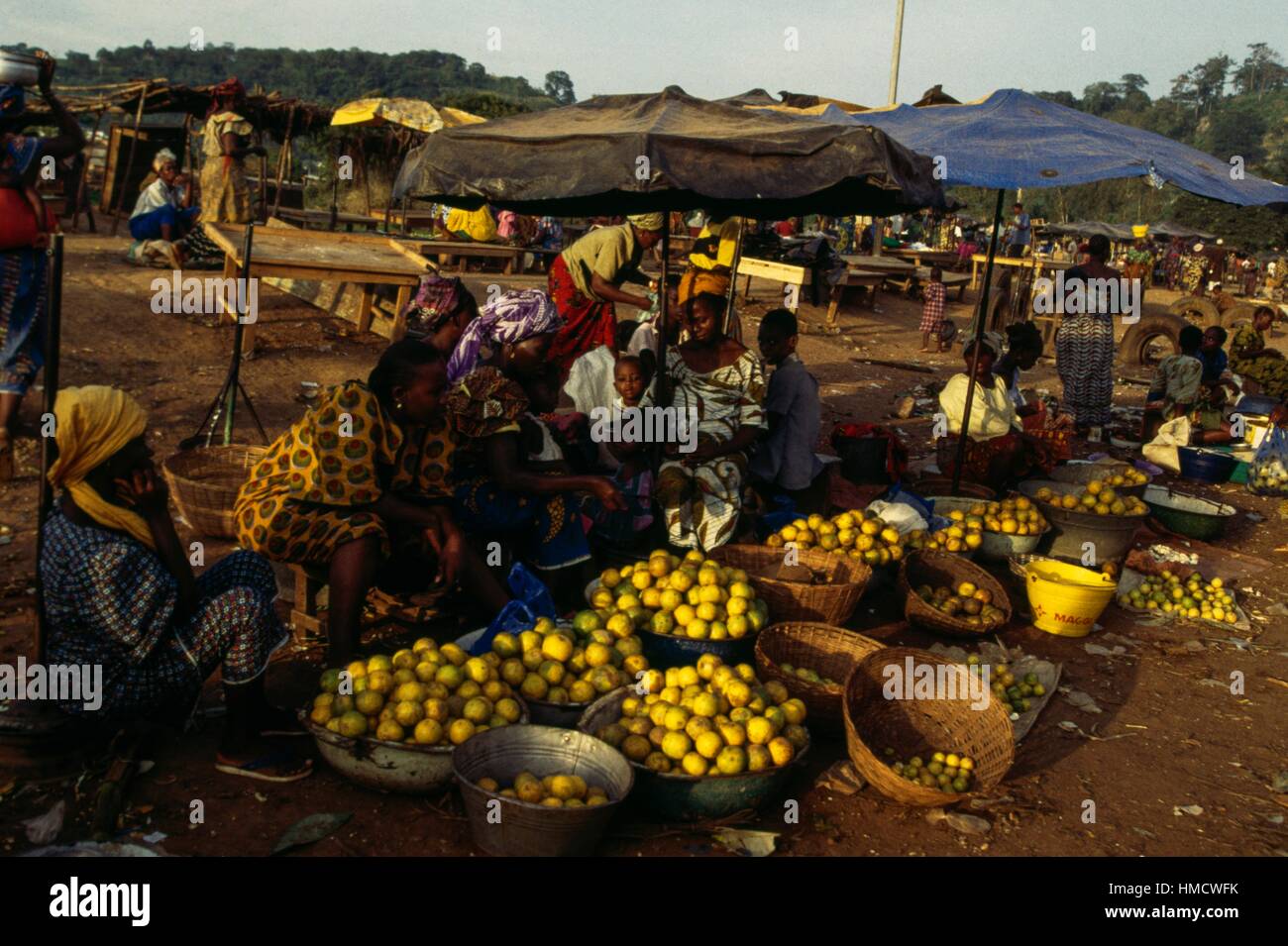 the thursday market in