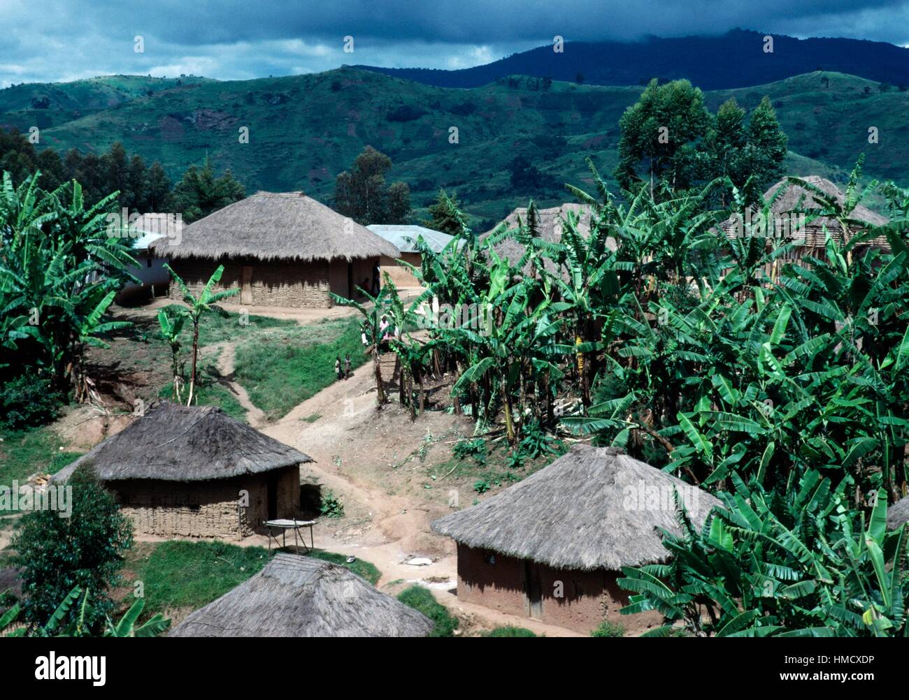 Traditional houses in a village in the Kivu, Democratic Republic of the