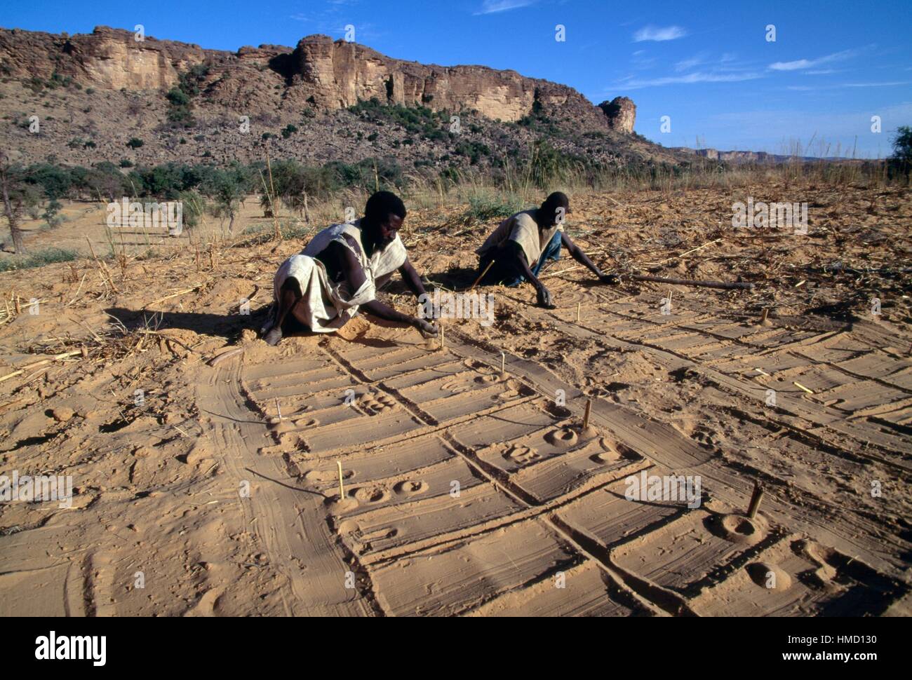 Preparing a table for divination, Tireli Mopti, Mali. Stock Photo