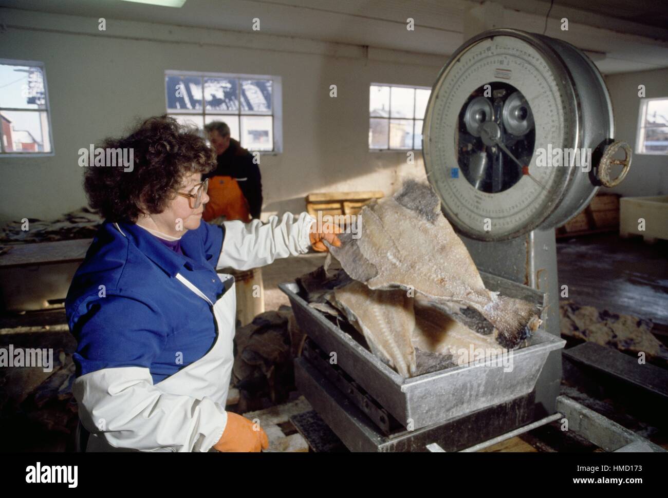 Cod Fish Processing Plant Fish processing plant norway hi-res stock photography and images - Alamy
