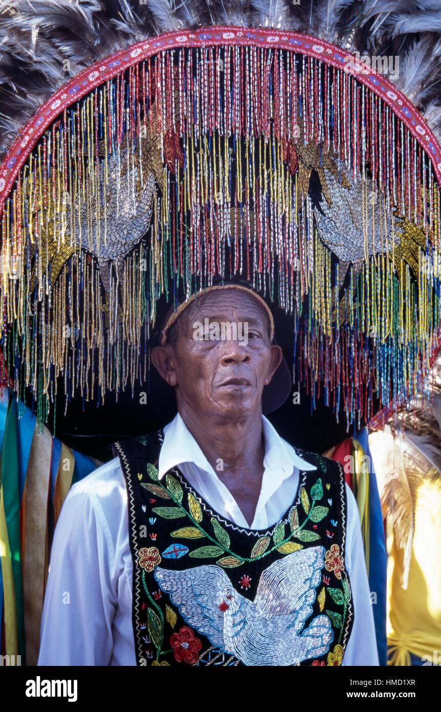 A man in costume during the Bumba Meu Boi celebrations, Sao Luis Island,  Maranhao, Brazil Stock Photo - Alamy