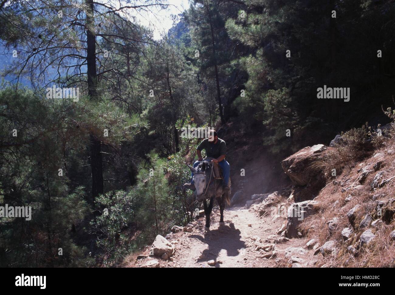 Man on a donkey, Samaria, Crete, Greece Stock Photo - Alamy