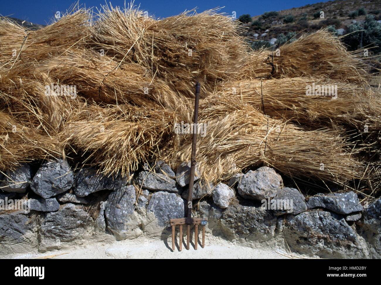 Sheaves and rake hi-res stock photography and images - Alamy