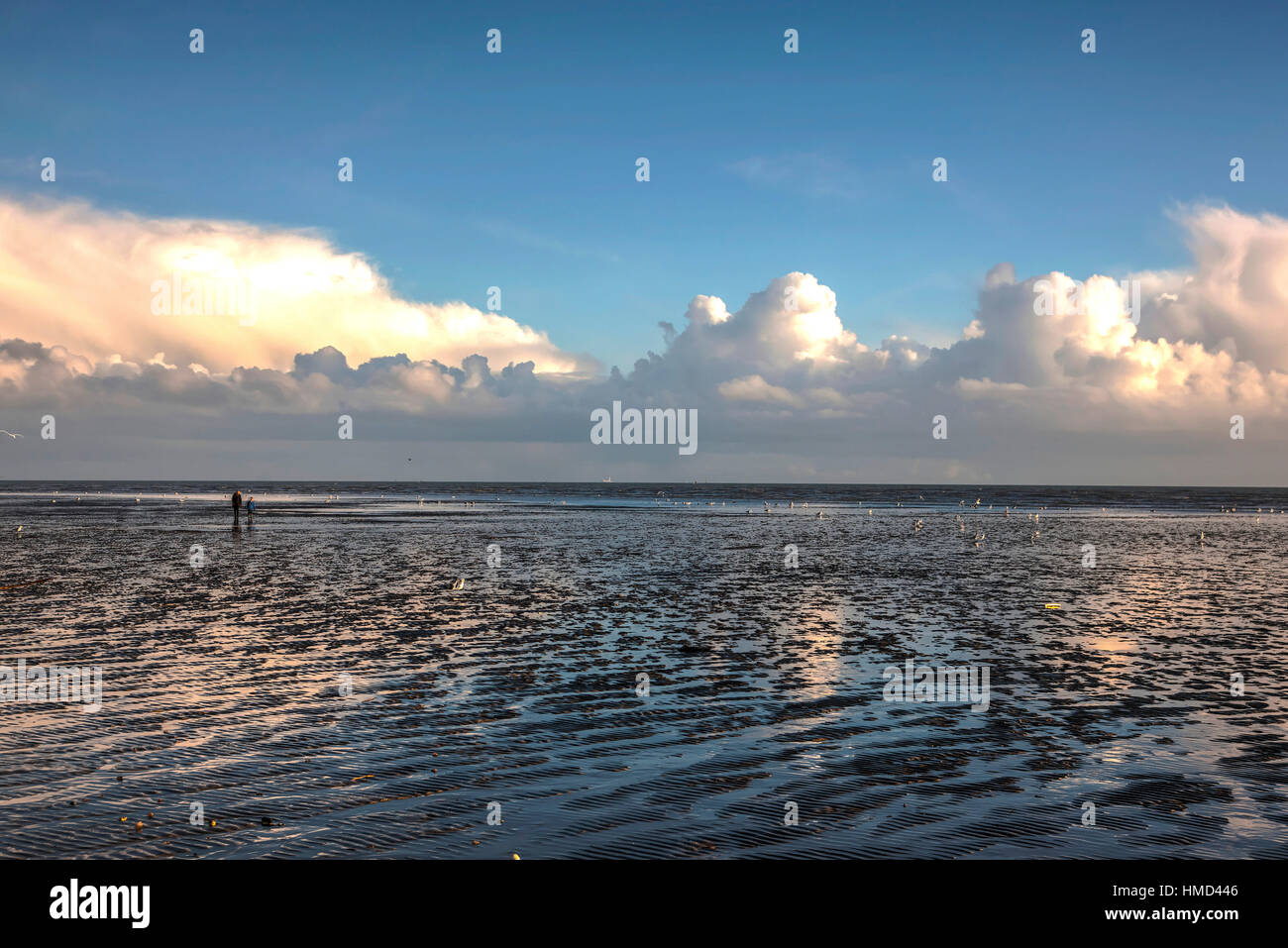 Low tide on Littlehampton Beach Stock Photo Alamy
