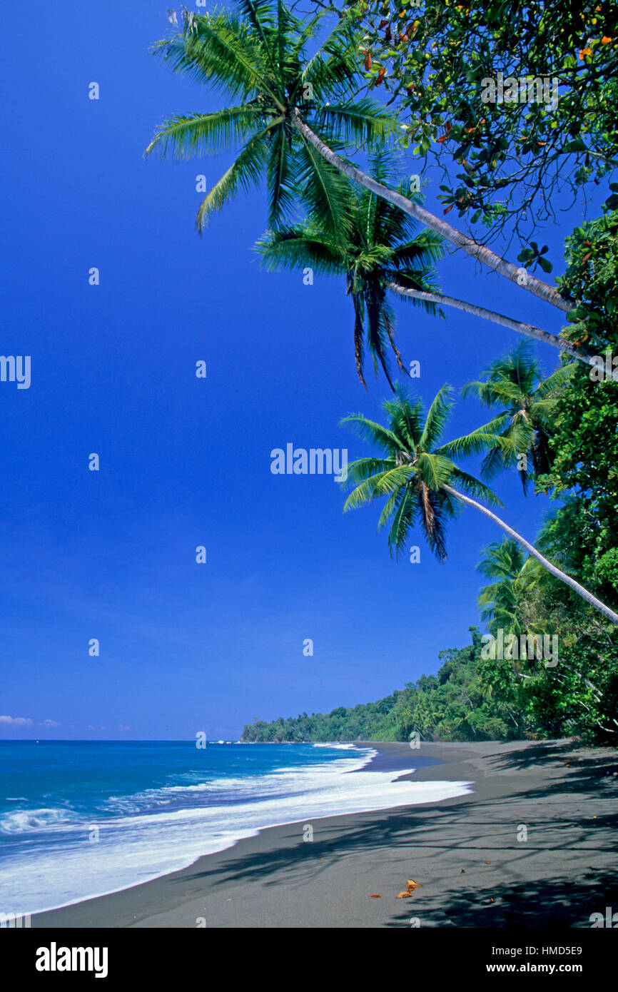 Beach and rainforest in Corcovado National Park, Osa Peninsula, Costa Rica. Stock Photo