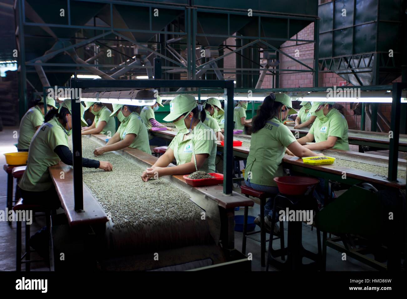 Peru coffee production hires stock photography and images Alamy