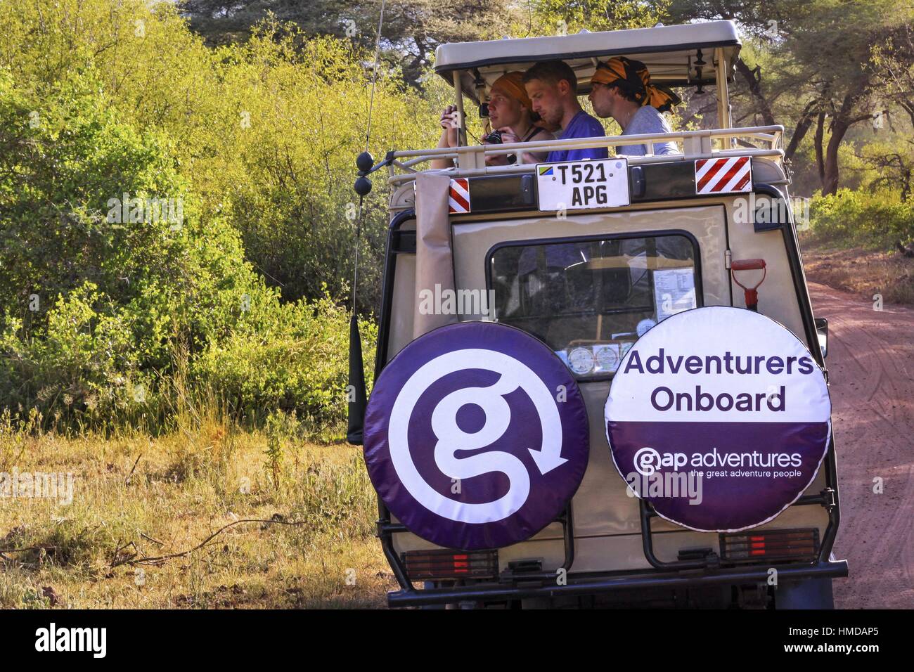Tourists Safari Trekking Serengeti National Park Tanzania on Gap or G Adventures Jeep Terrain Driving Vehicle and Photographing Animal Wildlife Stock Photo