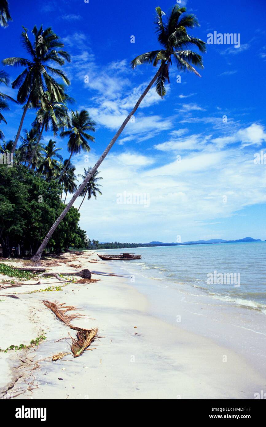 Natural beach and coconut palms Langkawi/Malaysia Stock Photo Alamy