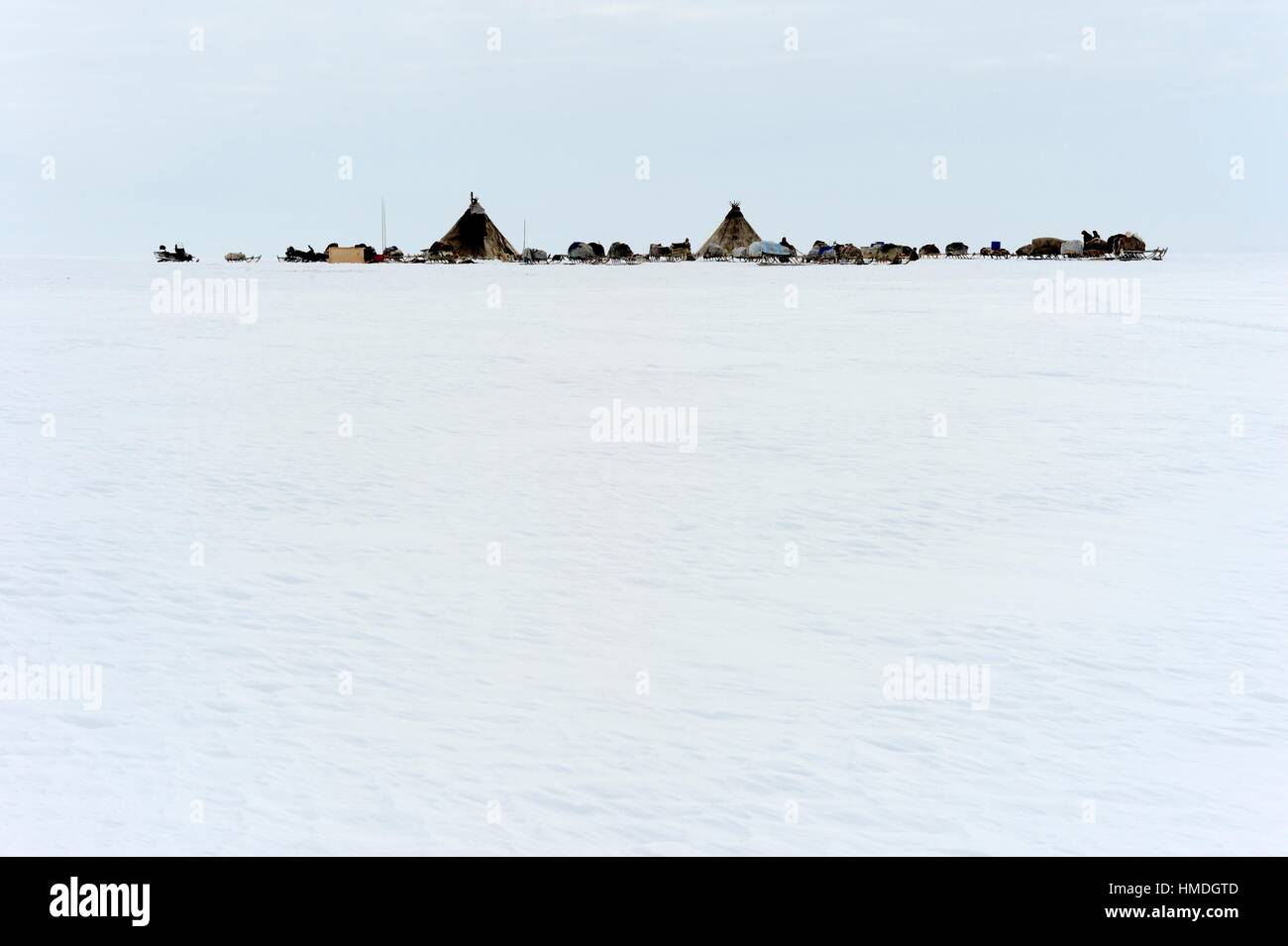 Nenets Reindeer herder´s camp with tents / Chum on the tundra, Yar-Sale district, Yamal, Northwest Siberia, Russia. Stock Photo