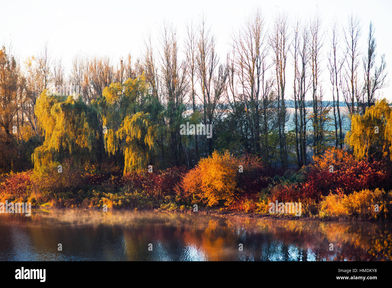 Colorful autumn foliage on Lake Stock Photo - Alamy